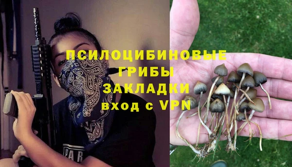 PSILOCYBIN Алзамай