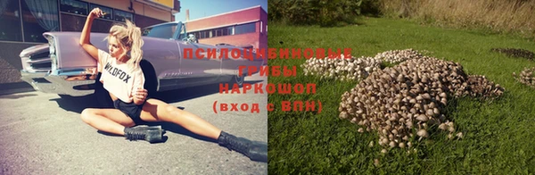 индика Алексин