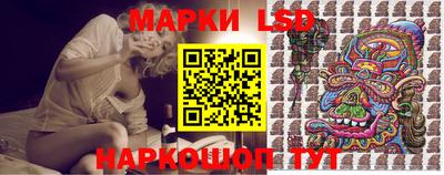 стафф Кузнецк