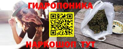 стафф Кузнецк
