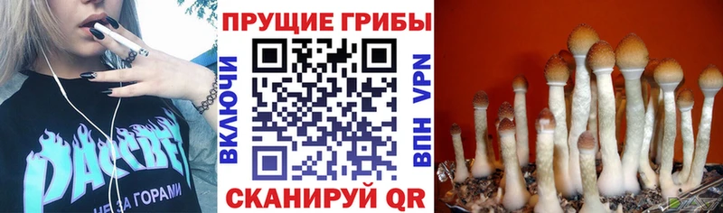 Галлюциногенные грибы мухоморы Апрелевка